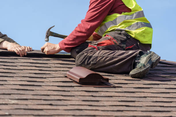 Best Gutter Installation and Roofing  in Martinsvle, IL