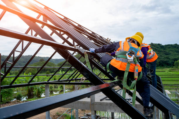 Best Roof Gutter Cleaning  in Martinsvle, IL