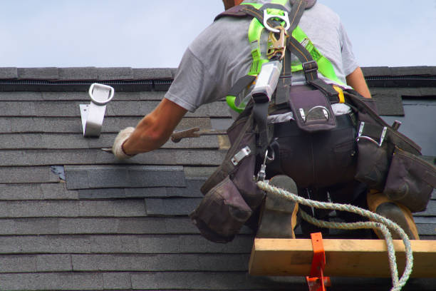 Best Roof Waterproofing Services  in Martinsvle, IL