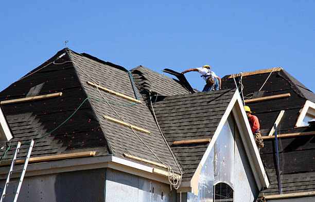 Best Sealant for Roof  in Martinsvle, IL