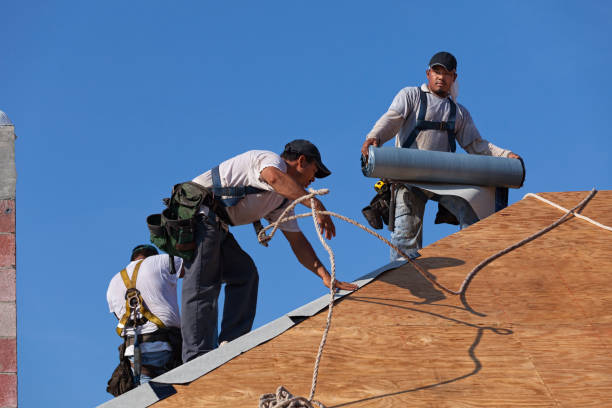Best Best Roofing Contractors  in Martinsvle, IL