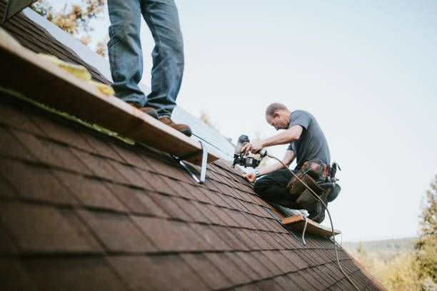 Best Roof Replacement Cost  in Martinsvle, IL