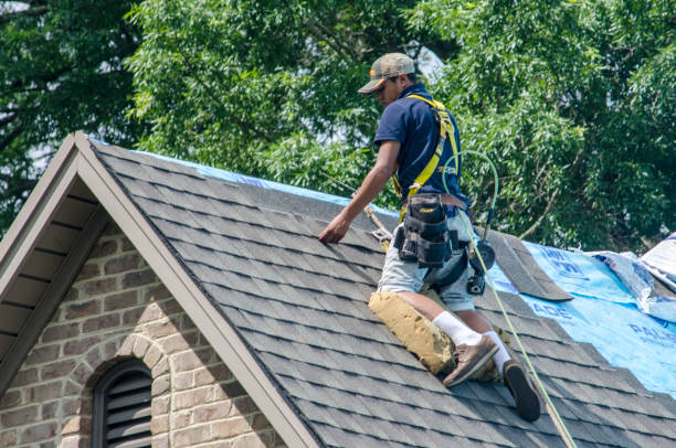 Best Roofing Contractor Near Me  in Martinsvle, IL